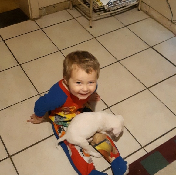 Meet your Posher, Heidi - Picture 1 of 1